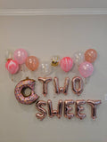Two Sweet Donut Balloon Set 2nd Birthday Rose Gold Two Sweet Donut Grow Up Donut Balloon Pink Two Sweet
