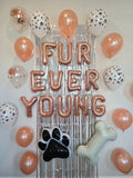 Fur Ever Young Balloon Set Paw Print Balloon Lets Purrty Pet Birthday Balloon Rose Gold Cursive Meow Balloon Pawty Cat Birthday Party Dog