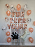 Fur Ever Young Balloon Set Paw Print Balloon Lets Purrty Pet Birthday Balloon Rose Gold Cursive Meow Balloon Pawty Cat Birthday Party Dog